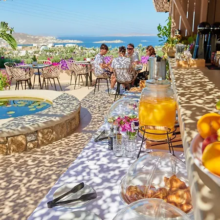 Apartment Kipos & Mykonos Town